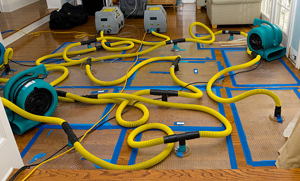 Professional Structural Drying And Dehumidification technician working in Jasper, TN